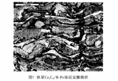 高温耐磨蚀涂层防护技术在热电偶保护套管上的